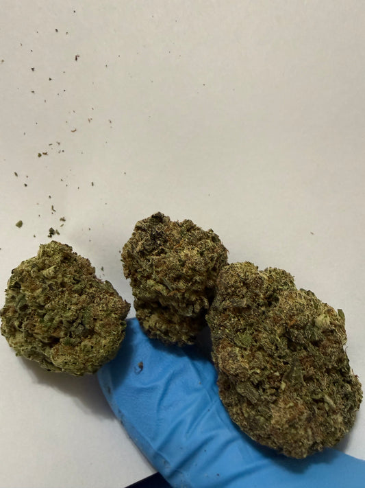 Daily Driver Hemp Flower - Cream Sickle