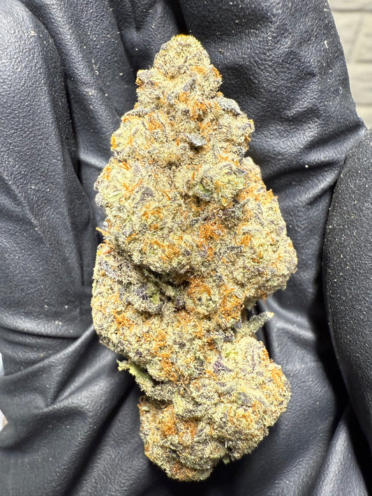 Glitter Bomb - AAA+ Indoor Living Soil