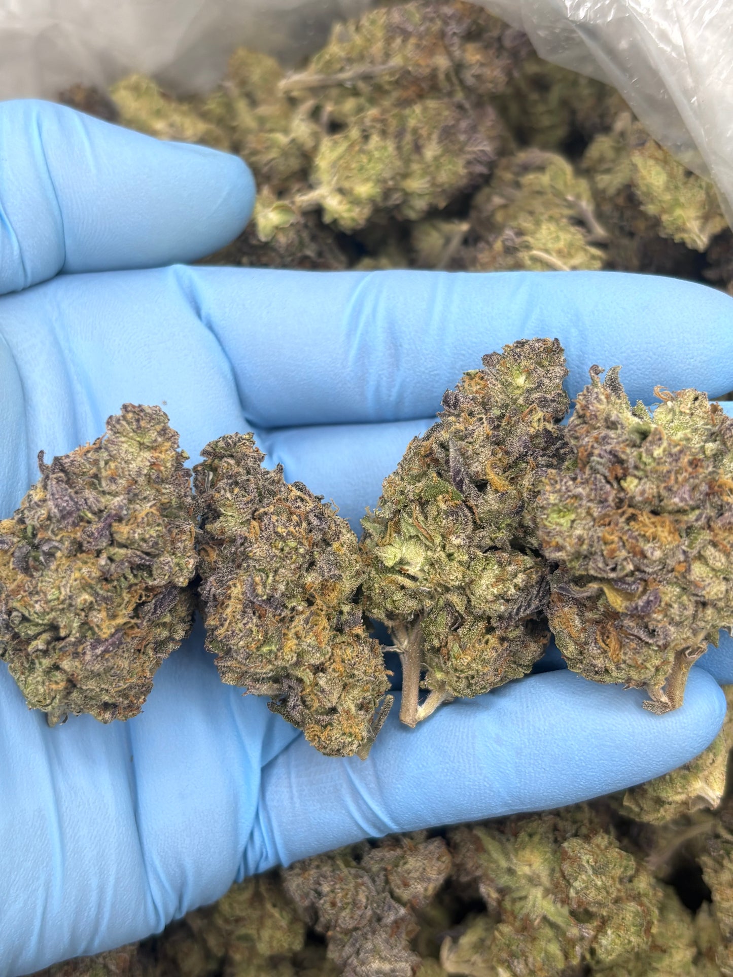 Light Dep THCA Hemp - Coco Loco