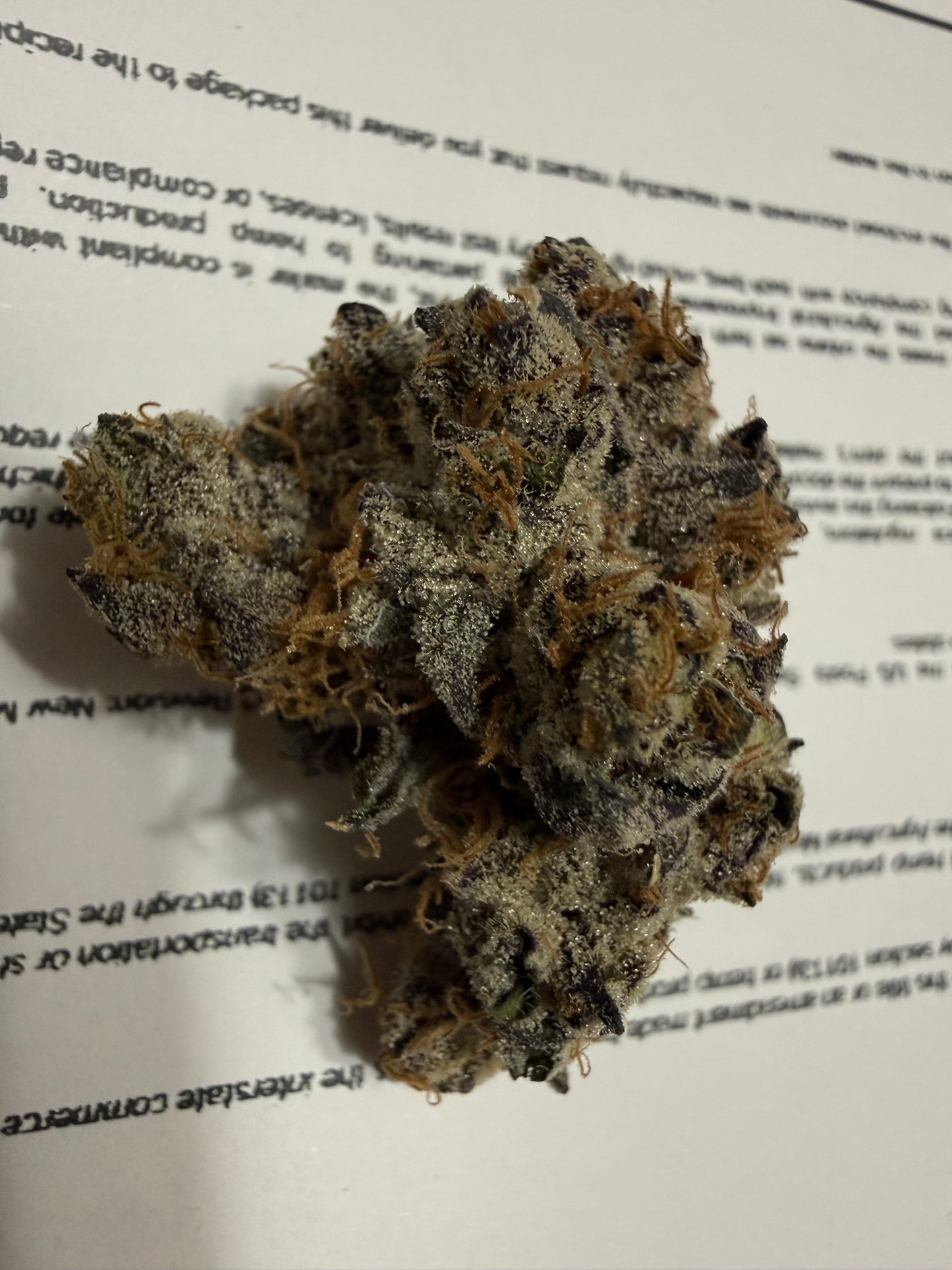 Premium Indoor THCA Hemp - Lemon Slam