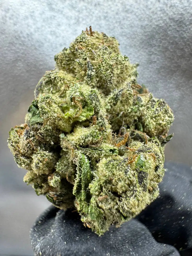 Daily Driver THCA Flower Pounds