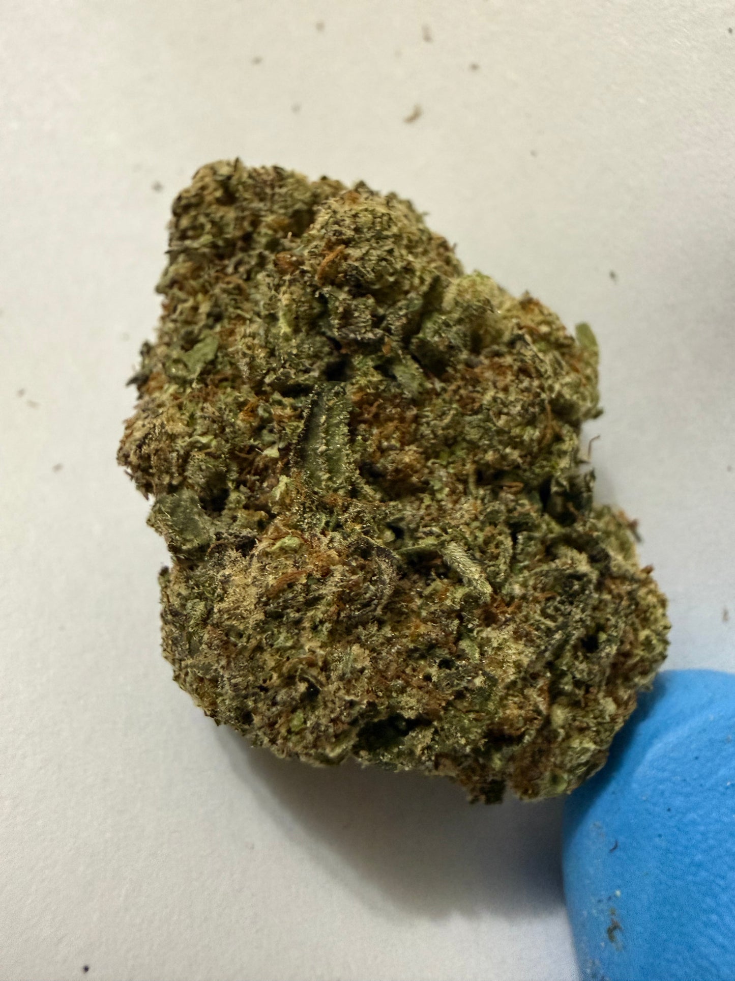 Daily Driver Hemp Flower - Cream Sickle