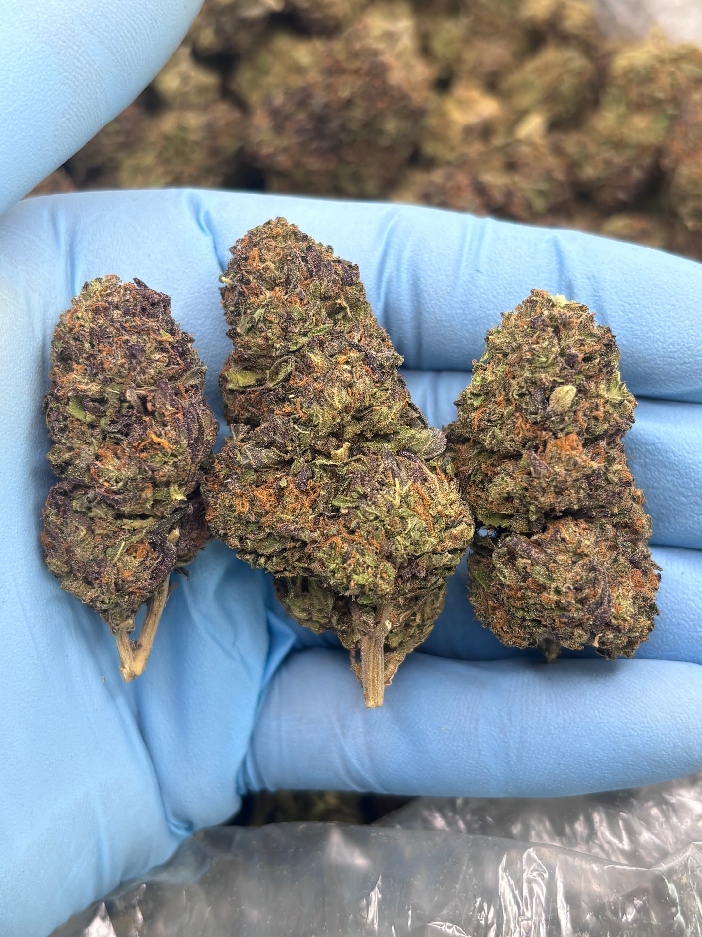Light Dep THCA Hemp - Cherry Baccio