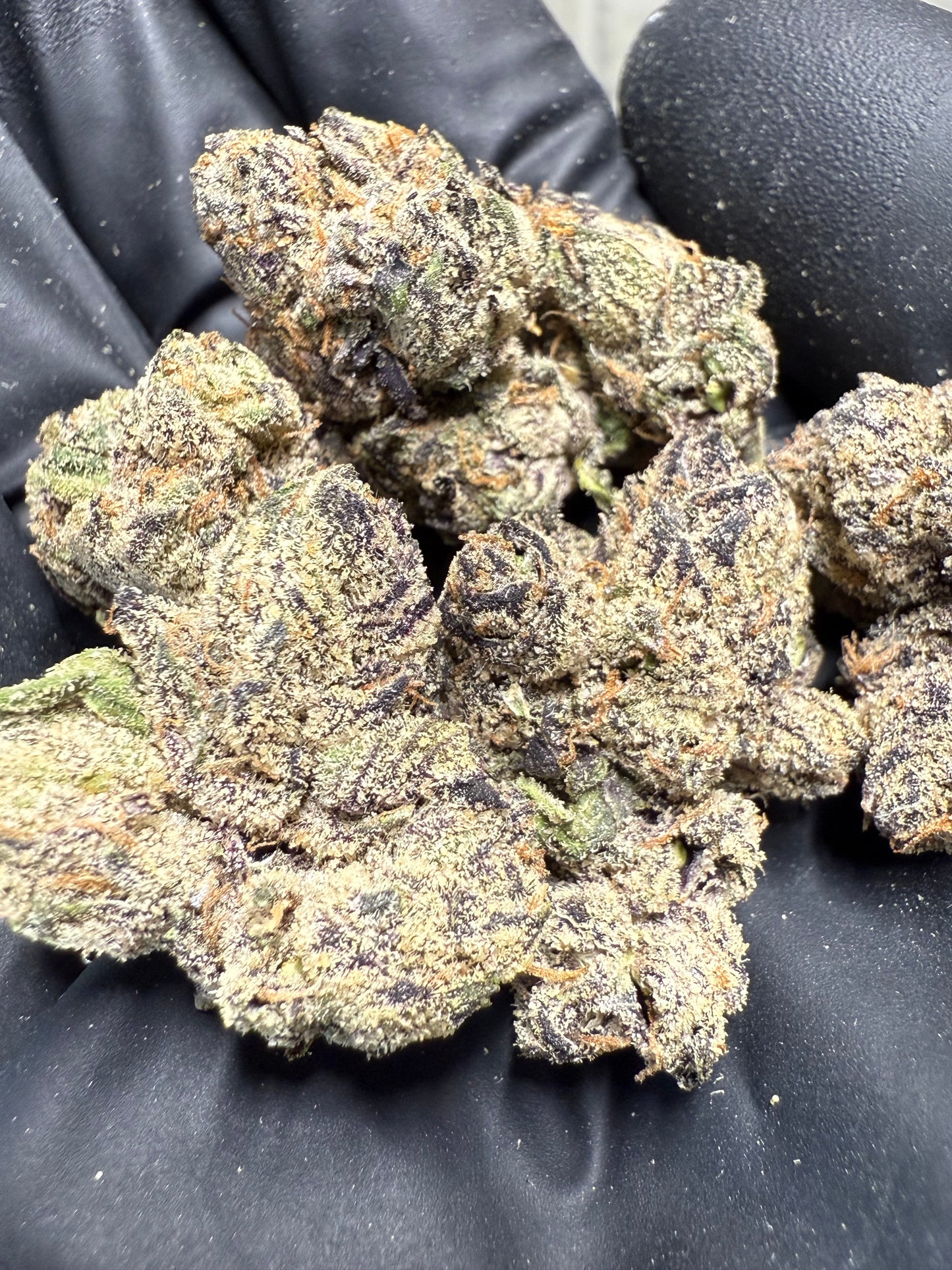 Premium THCA Hemp Flower - Frisian Dew