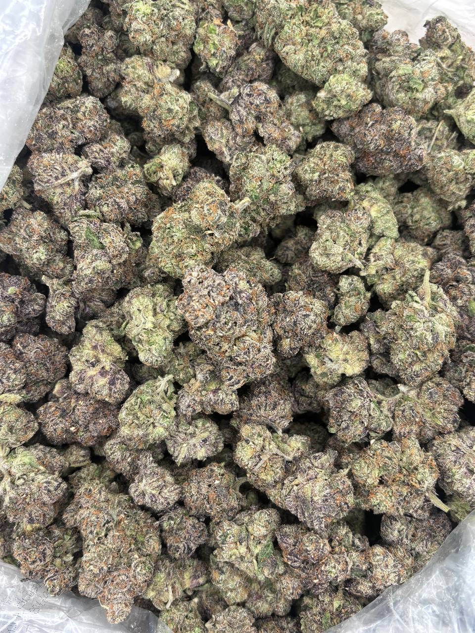 Premium Candy Indoor THCA Hemp - 41 Cherries