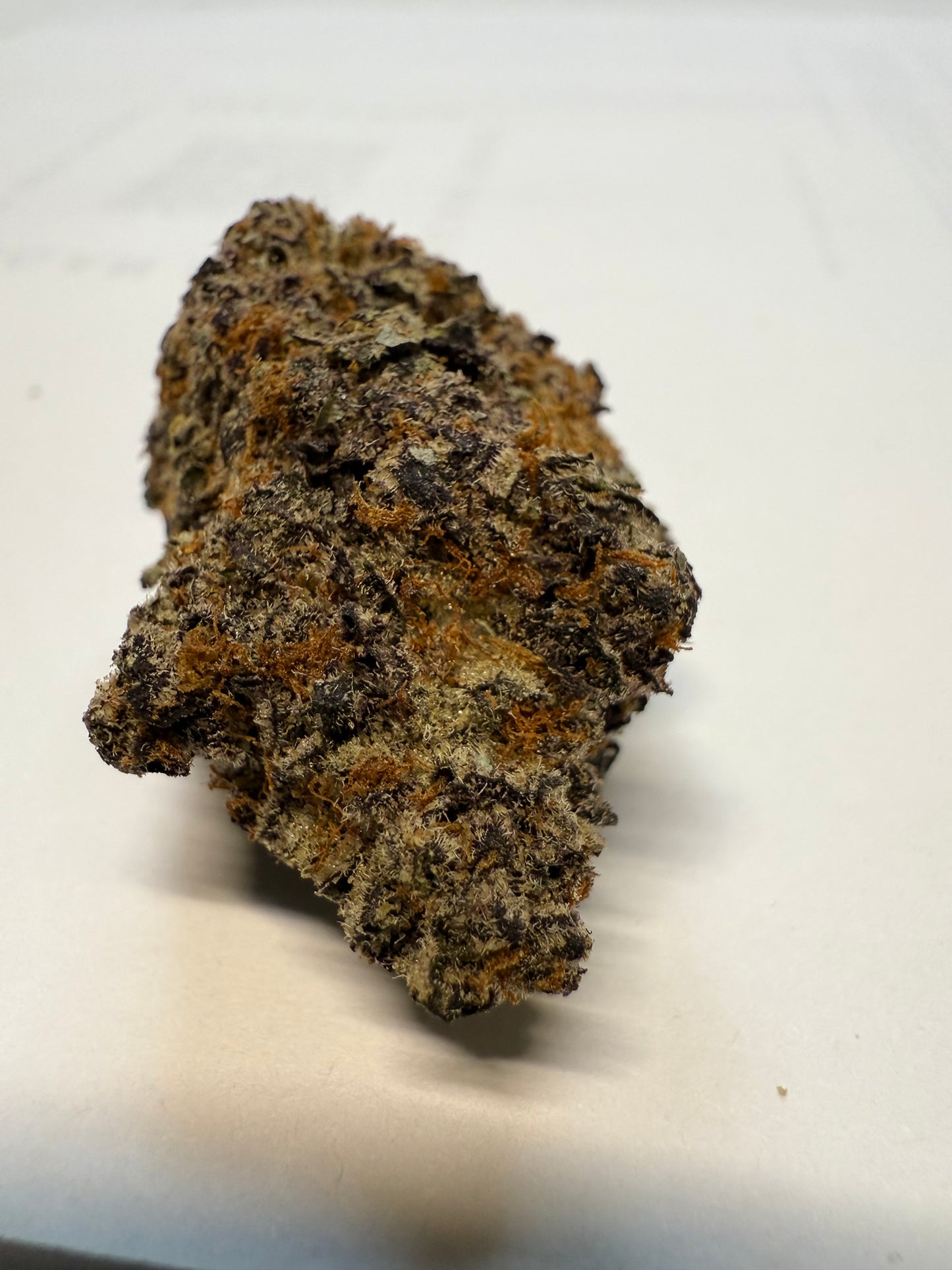 Breakfast of Champions - AAA+ Indoor Living Soil