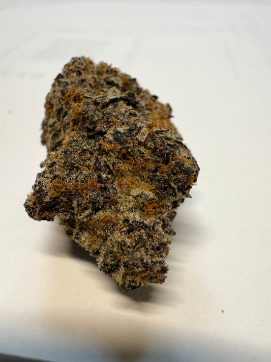 Breakfast of Champions - AAA+ Indoor Living Soil