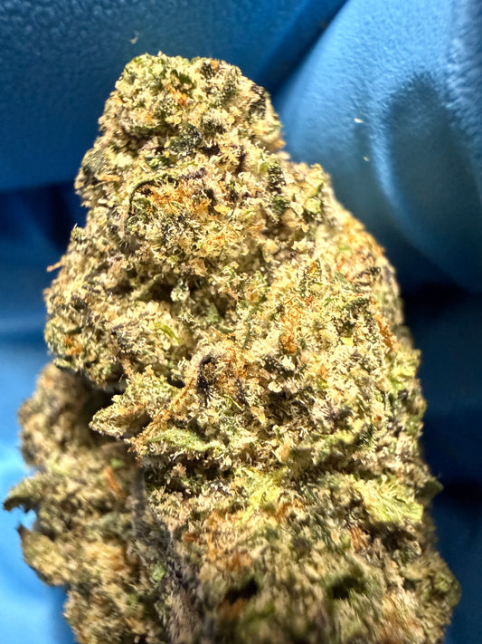 Premium Indoor THCA Hemp - Sherb Cream Pie