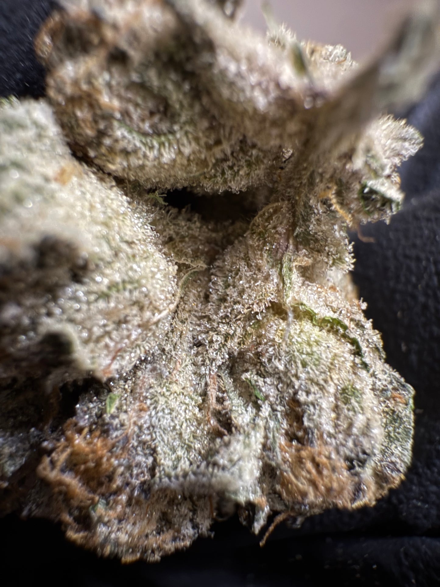 Premium Indoor Thca Hemp - E85