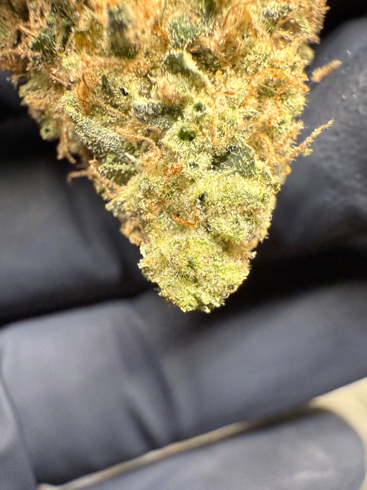 Premium Indoor THCA Hemp - Sour Diesel