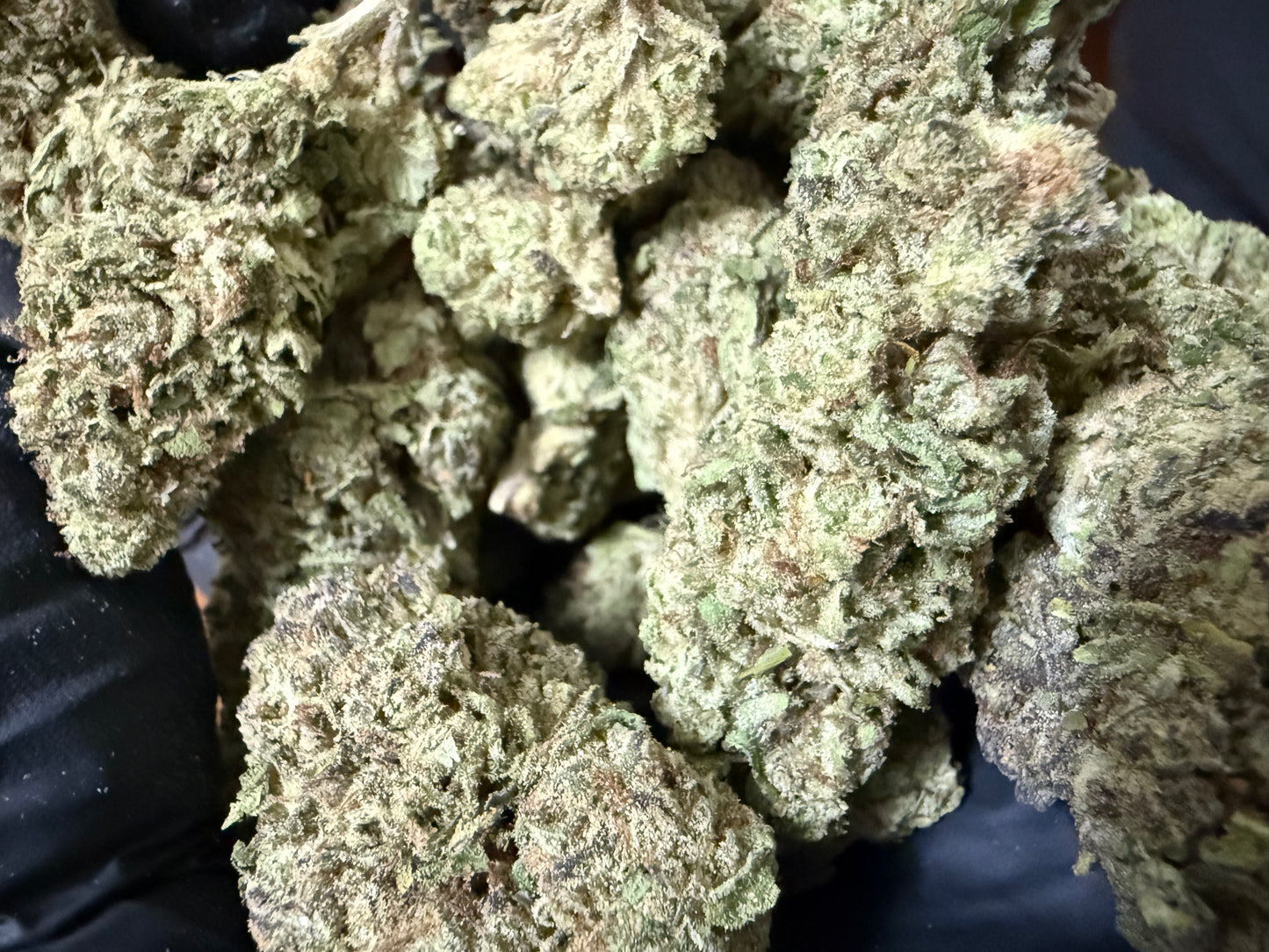 Daily Driver Hemp Flower - GushMintz