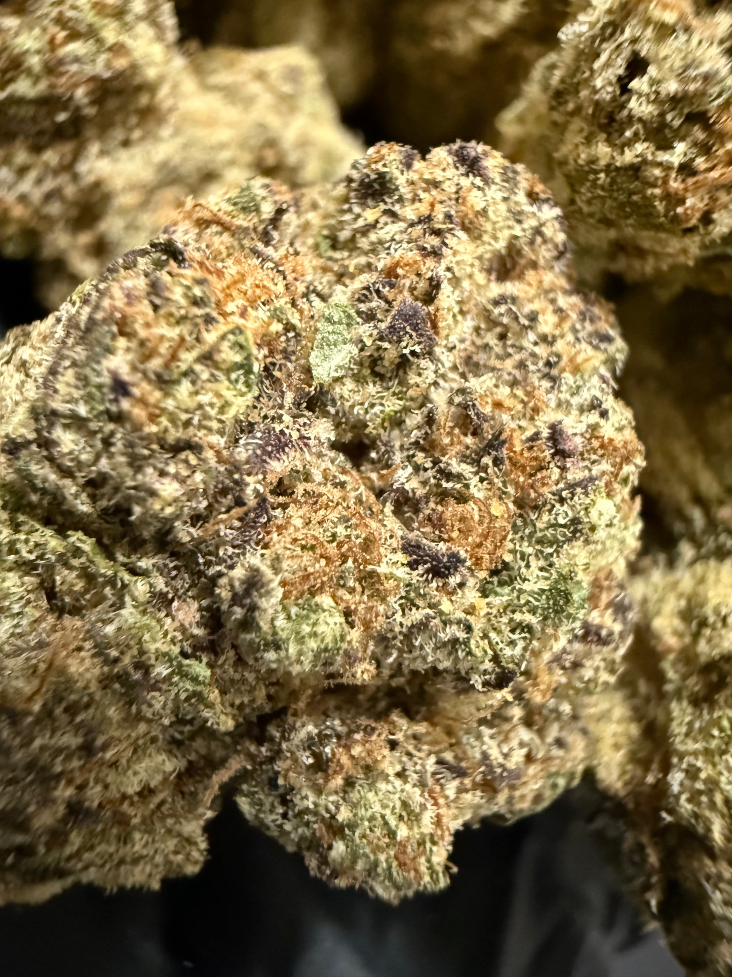 Daily Drive Hemp Flower - Orange Candy