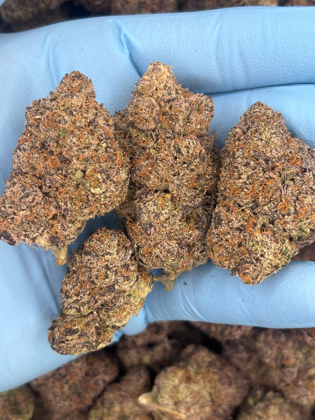 Is THCA Legal? (2026 Laws Explained)