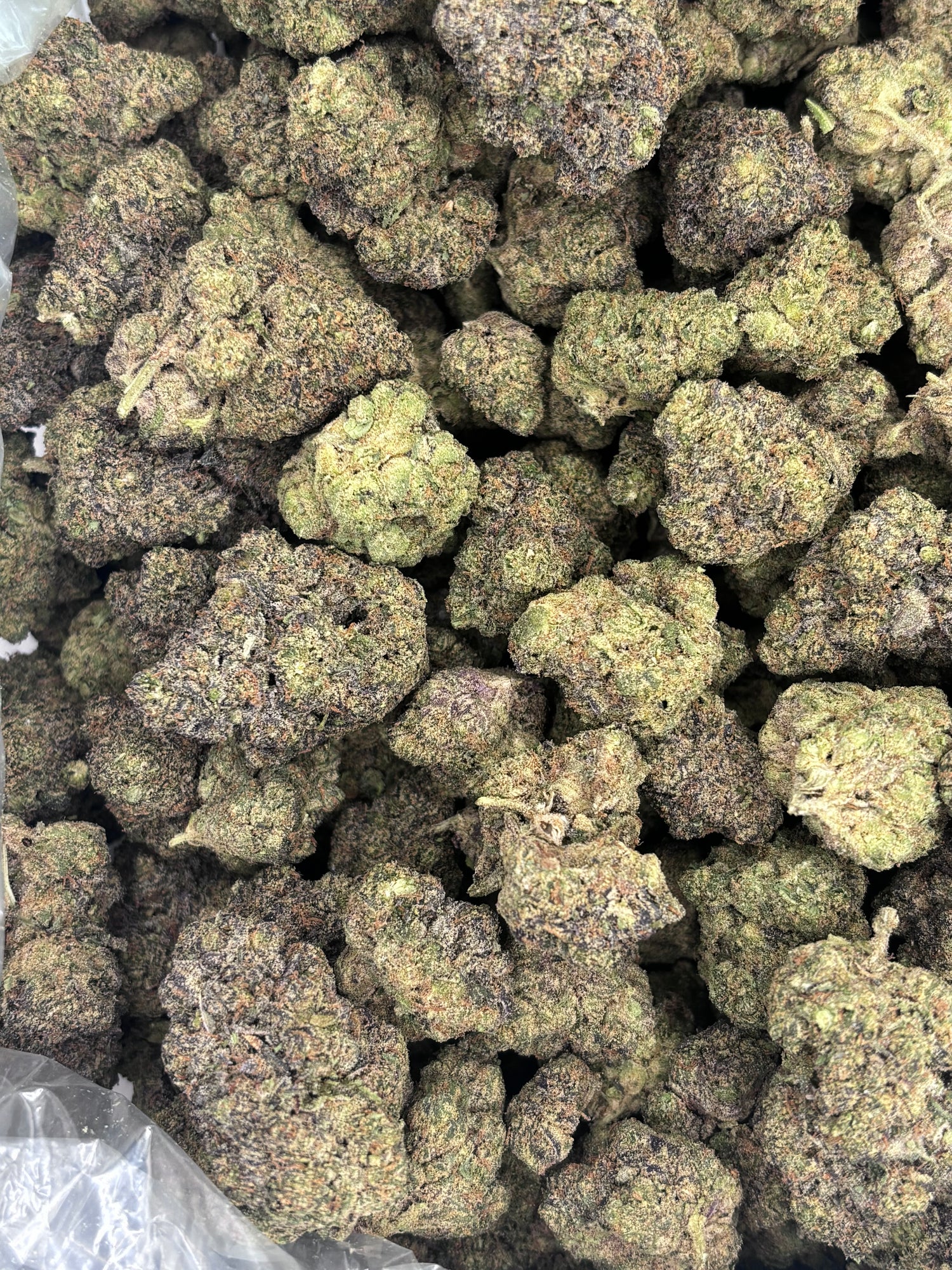 Bulk Flower