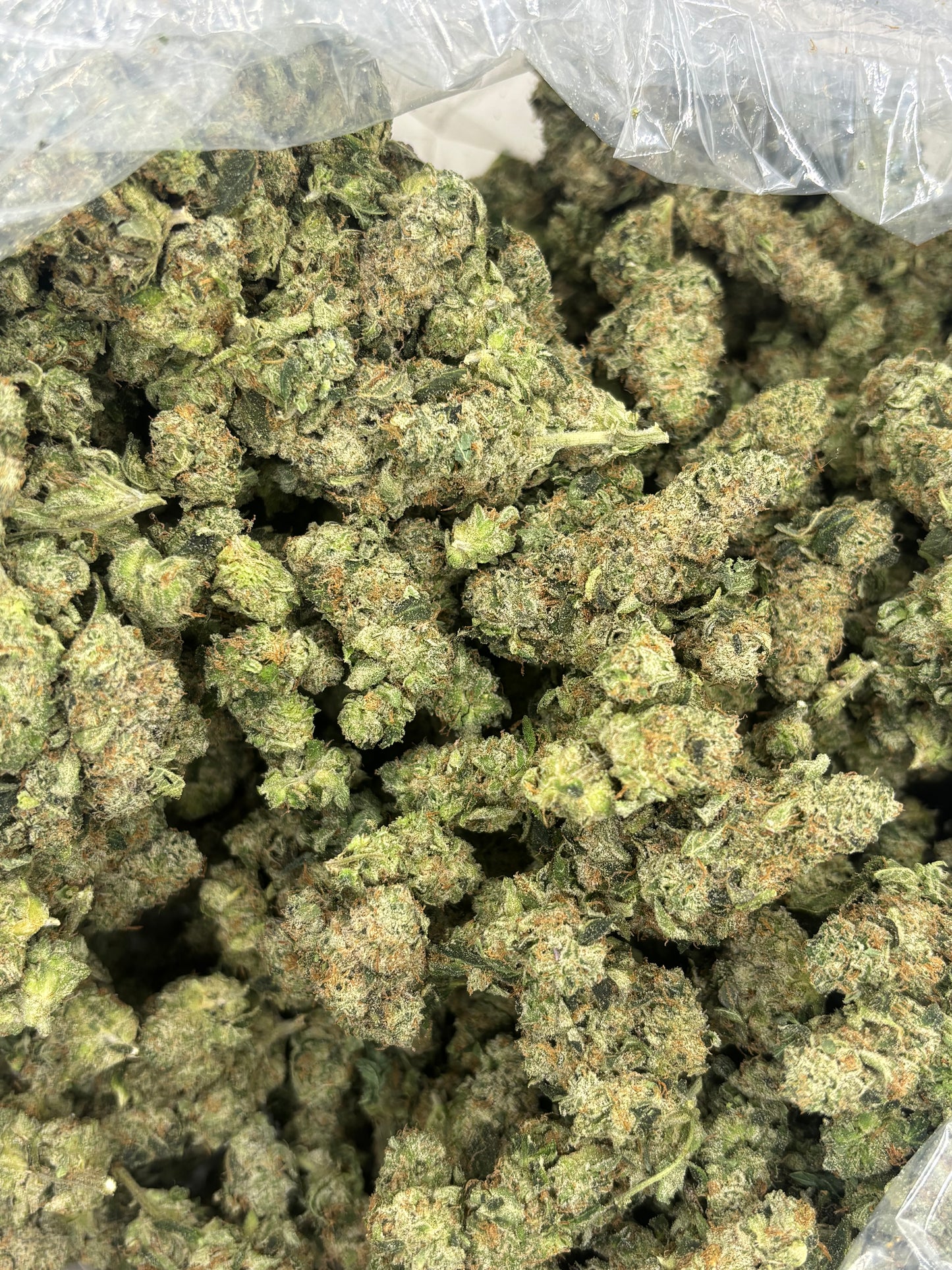 THCA Premium Indoor - GMO