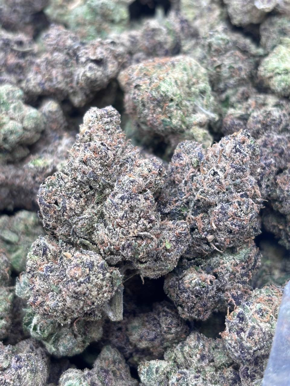 Premium Candy Indoor THCA Hemp - Super LCG