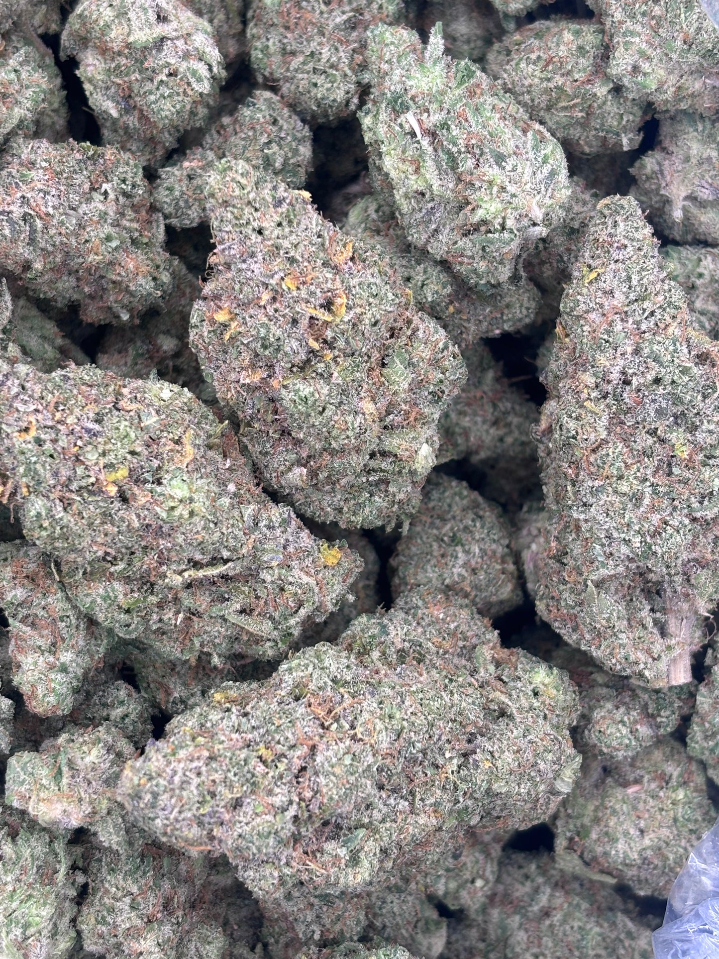 THCA Premium Indoor - Headband