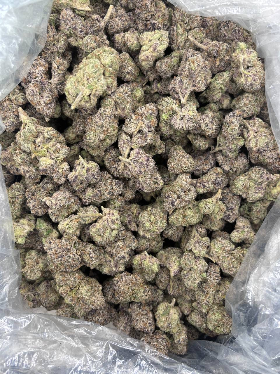 Premium Candy Indoor THCA Hemp - Crunch Berries