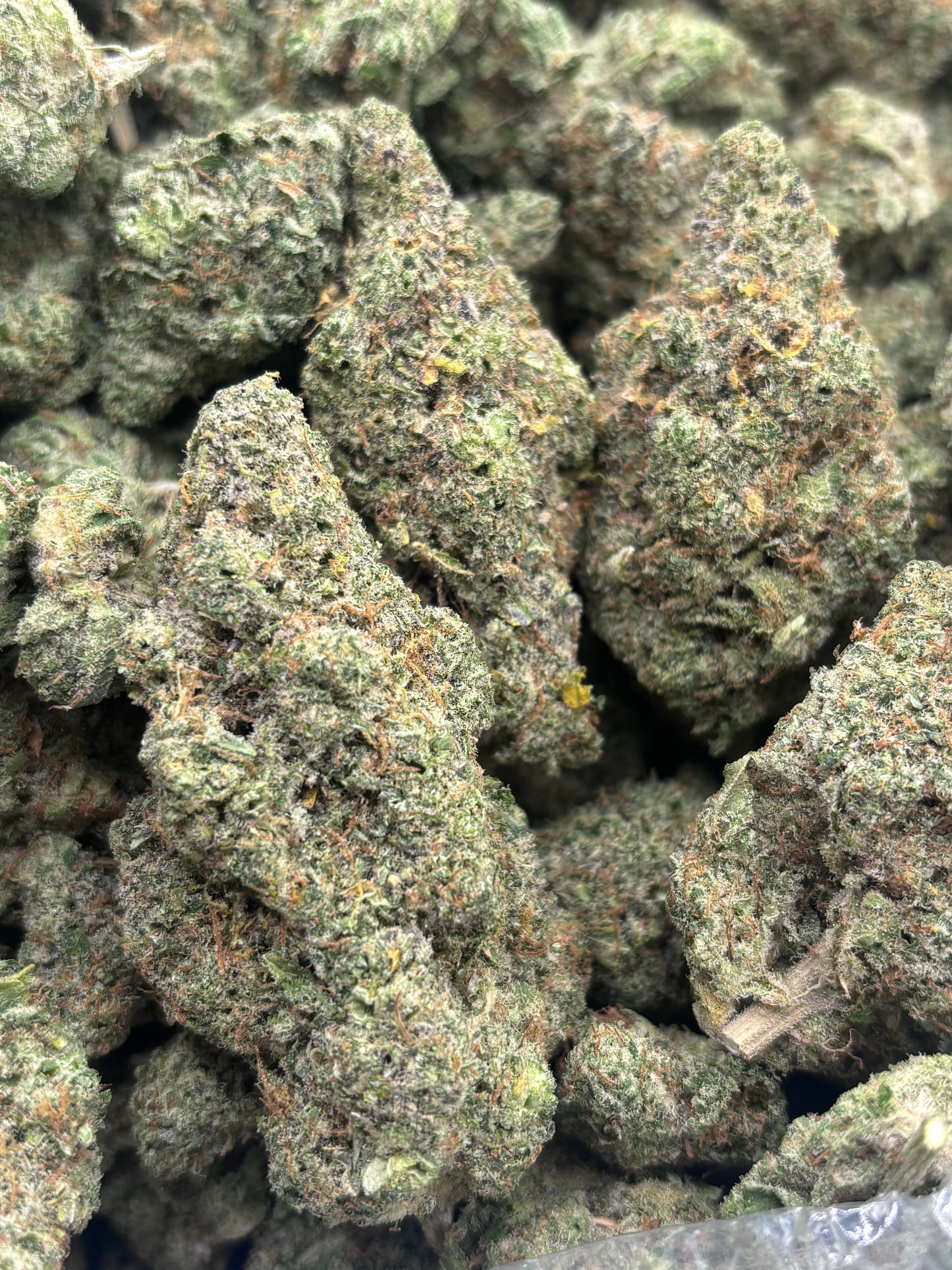 THCA Premium Indoor - Headband