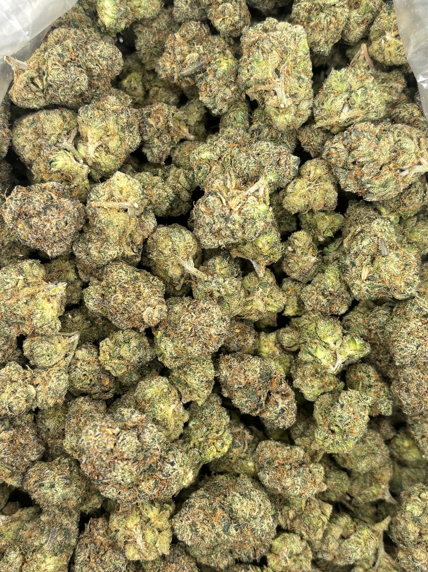 THCA Premium Indoor - Obama Runtz