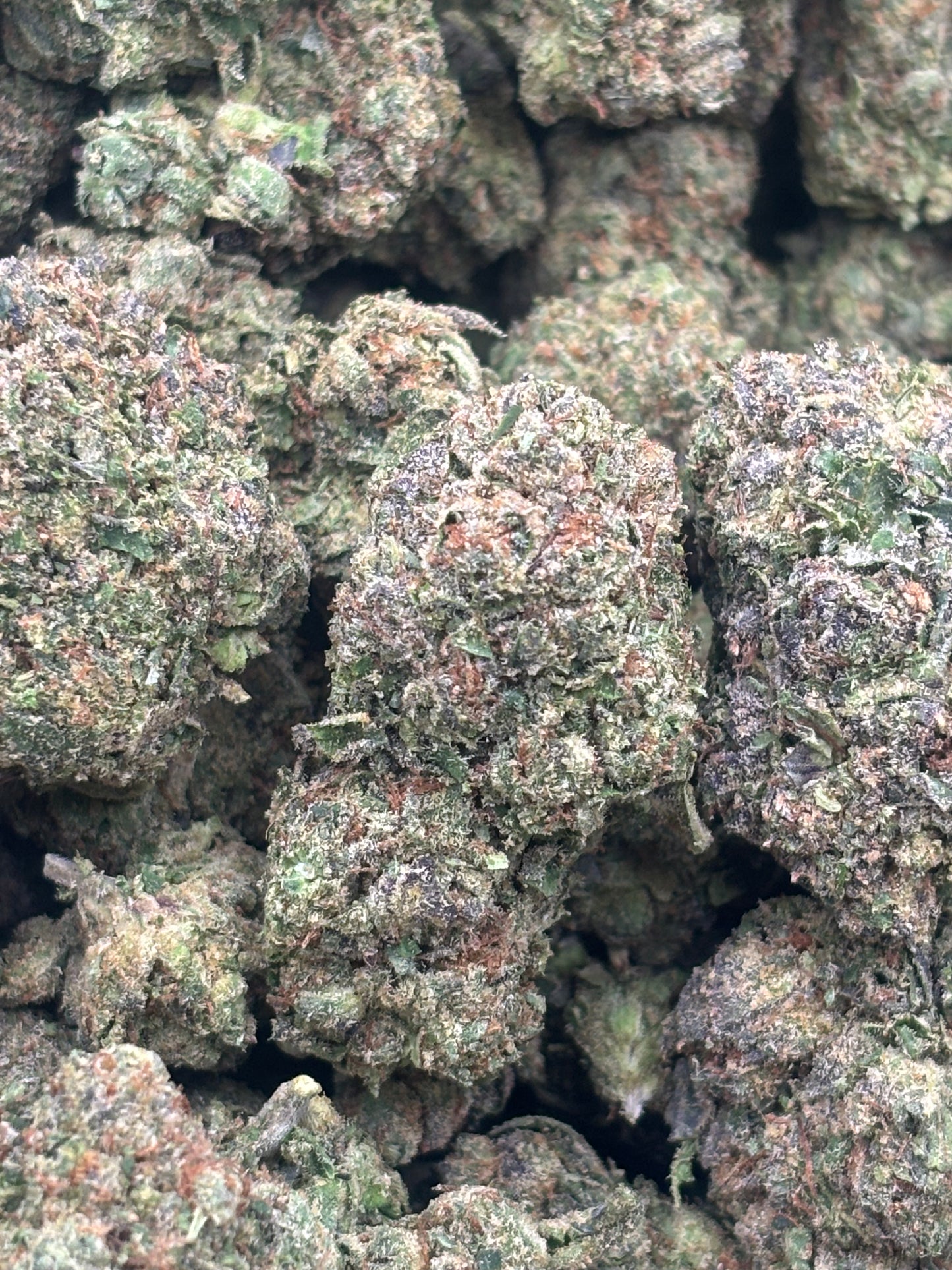 THCA Hemp Top Tier