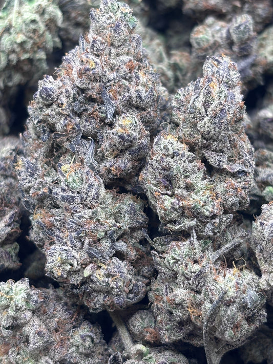 Premium Indoor THCA Hemp - Rocket Fuel