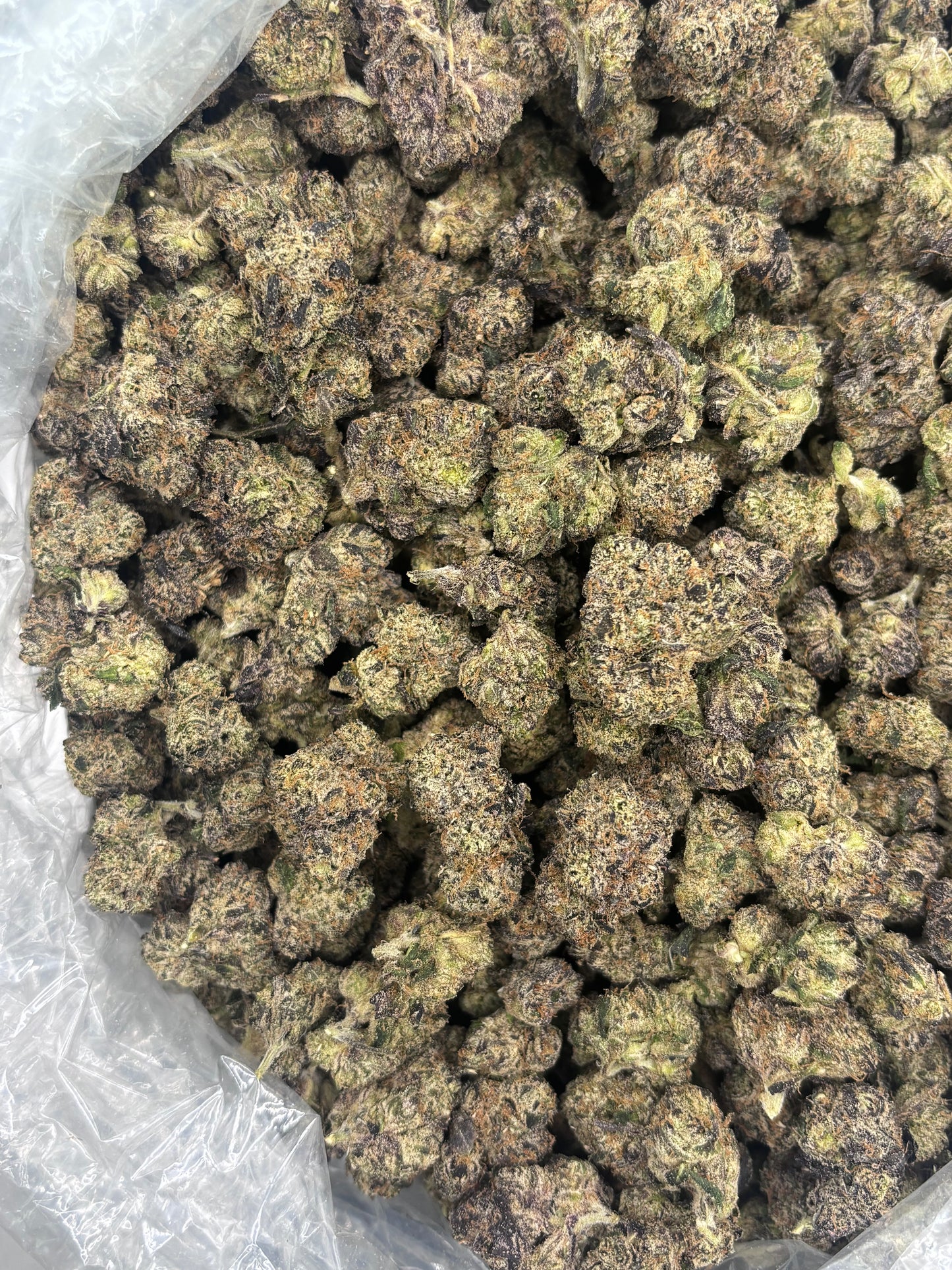 Premium Indoor THCA Hemp - BlackBerry Runts