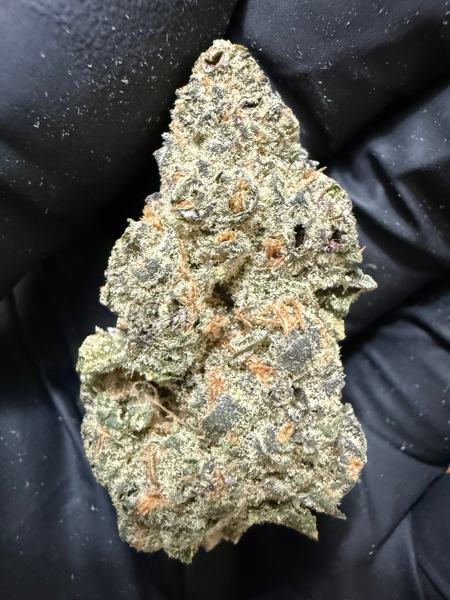 Premium Indoor THCA Hemp - Super Black