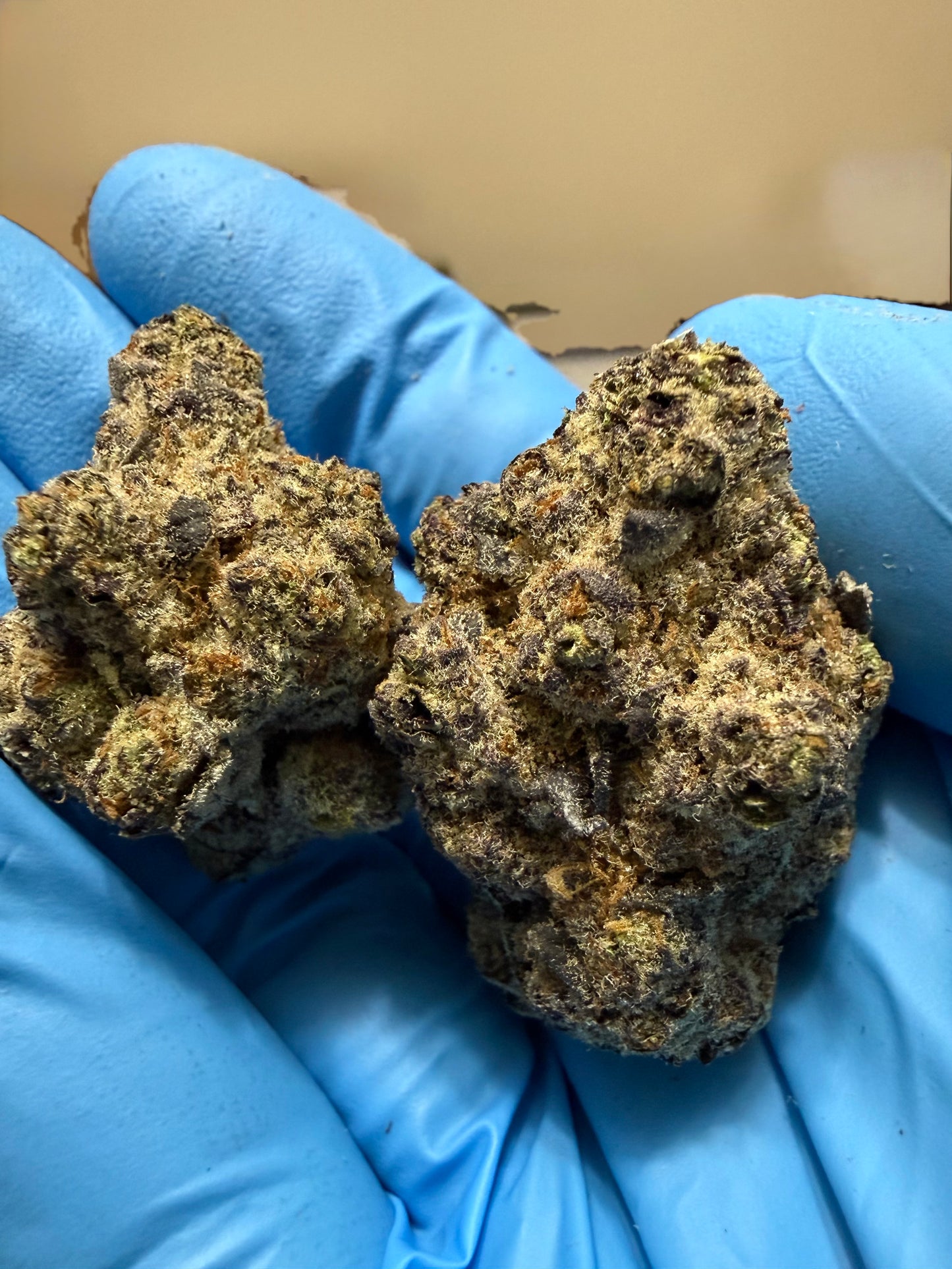 Premium Indoor Thca Hemp - Purple Peaches