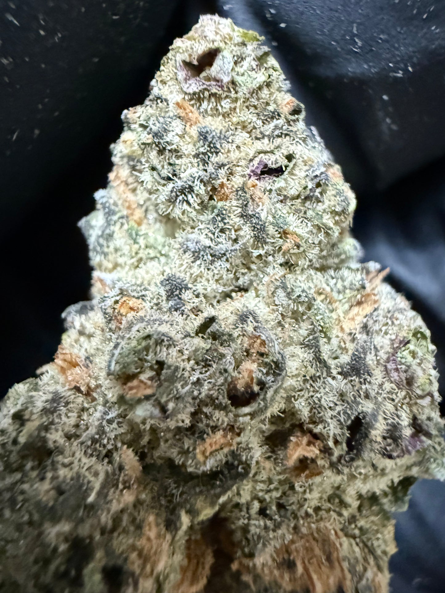 Premium Indoor THCA Hemp - Super Black