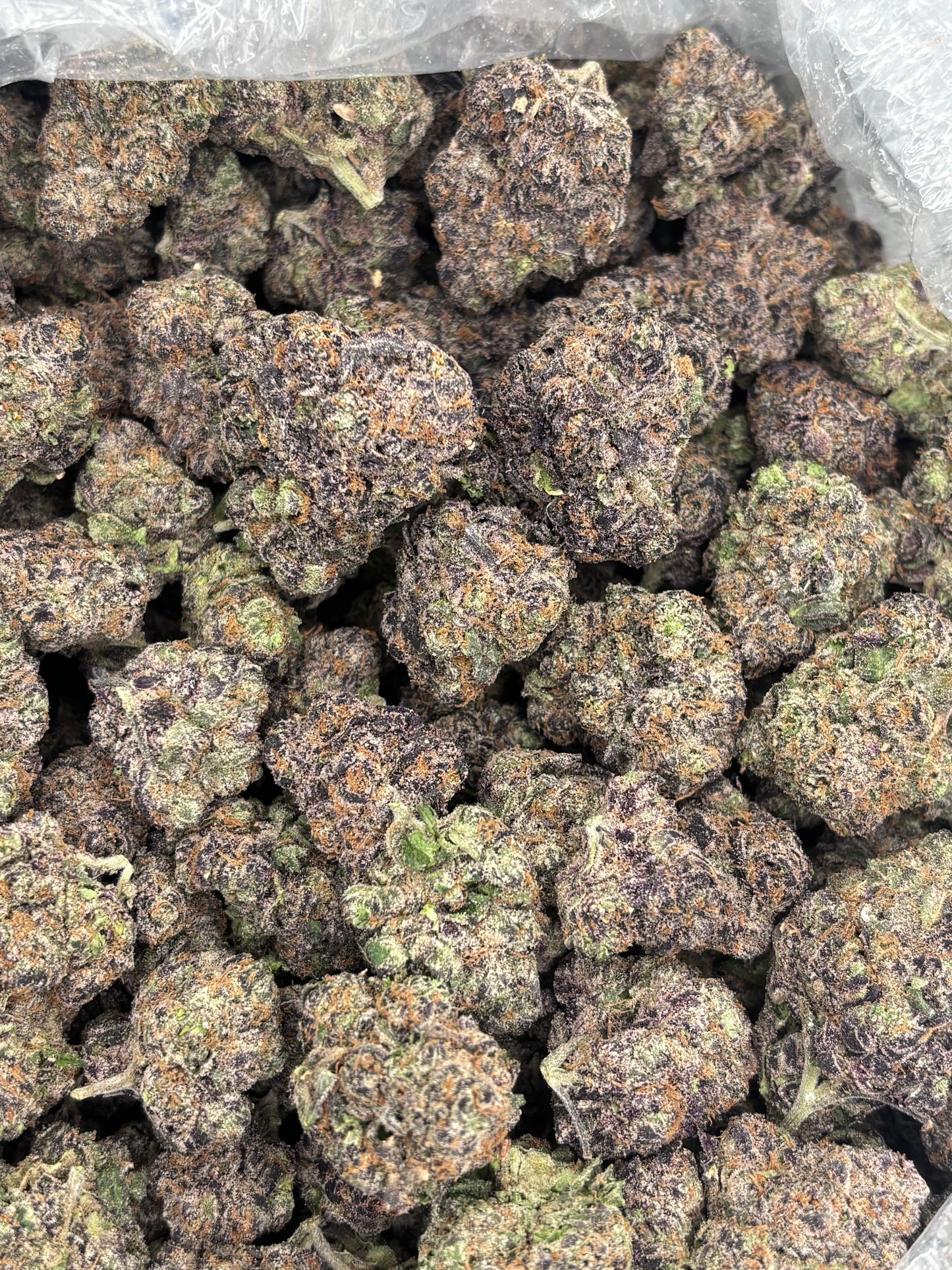 Premium Indoor THCA Hemp - Fish Scale