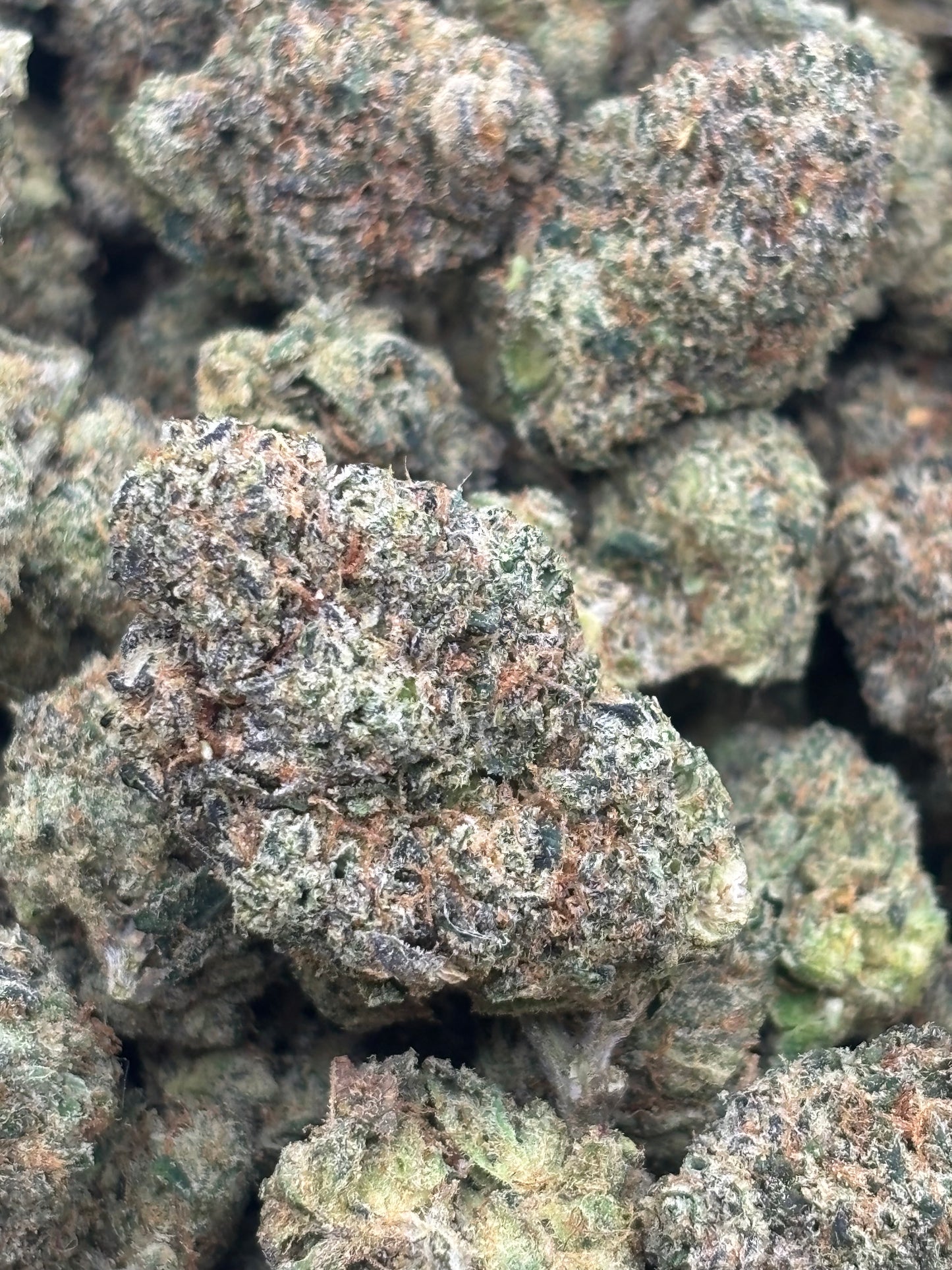 THCA Premium Indoor - Obama Runtz
