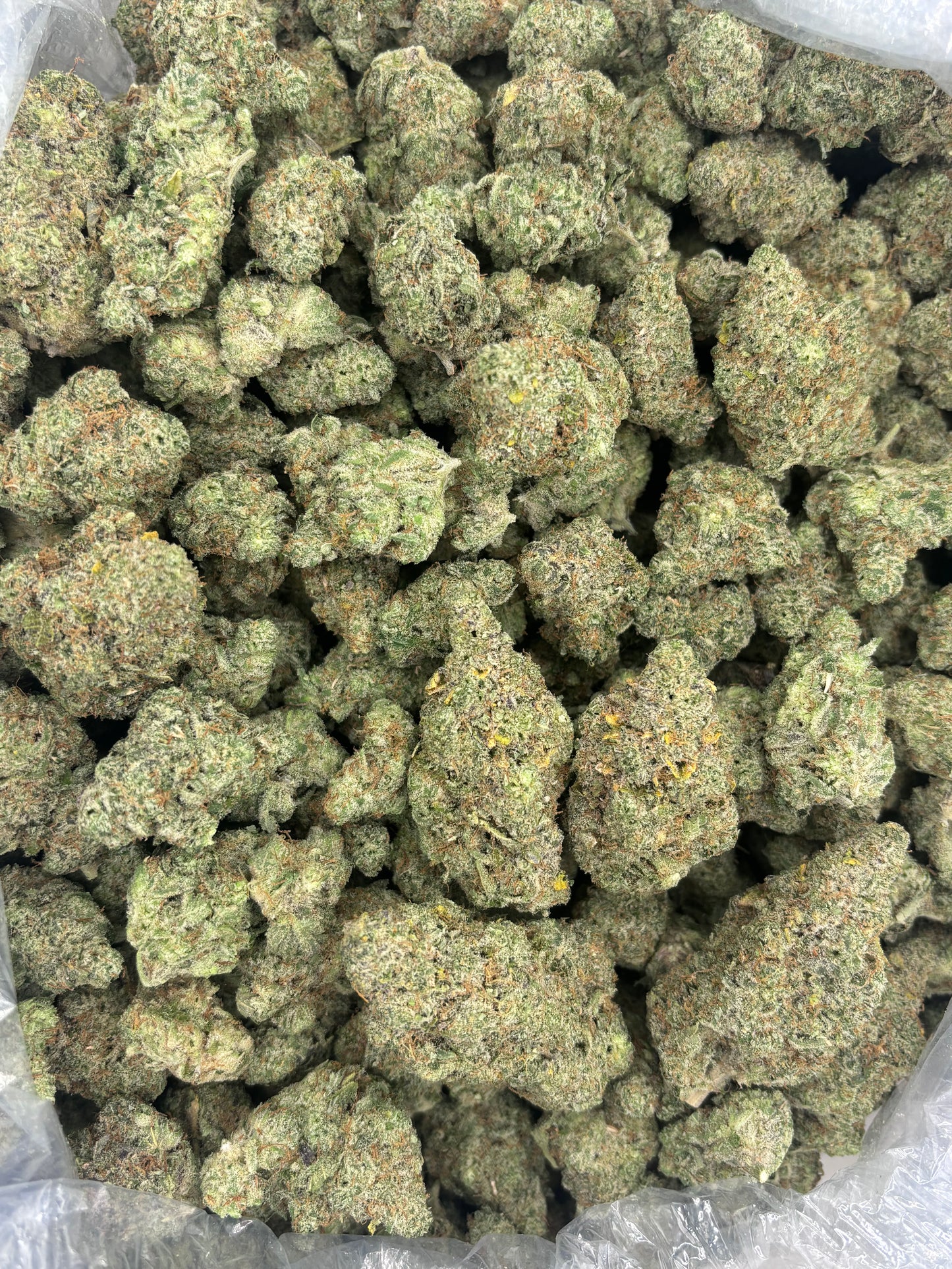 THCA Premium Indoor - Headband