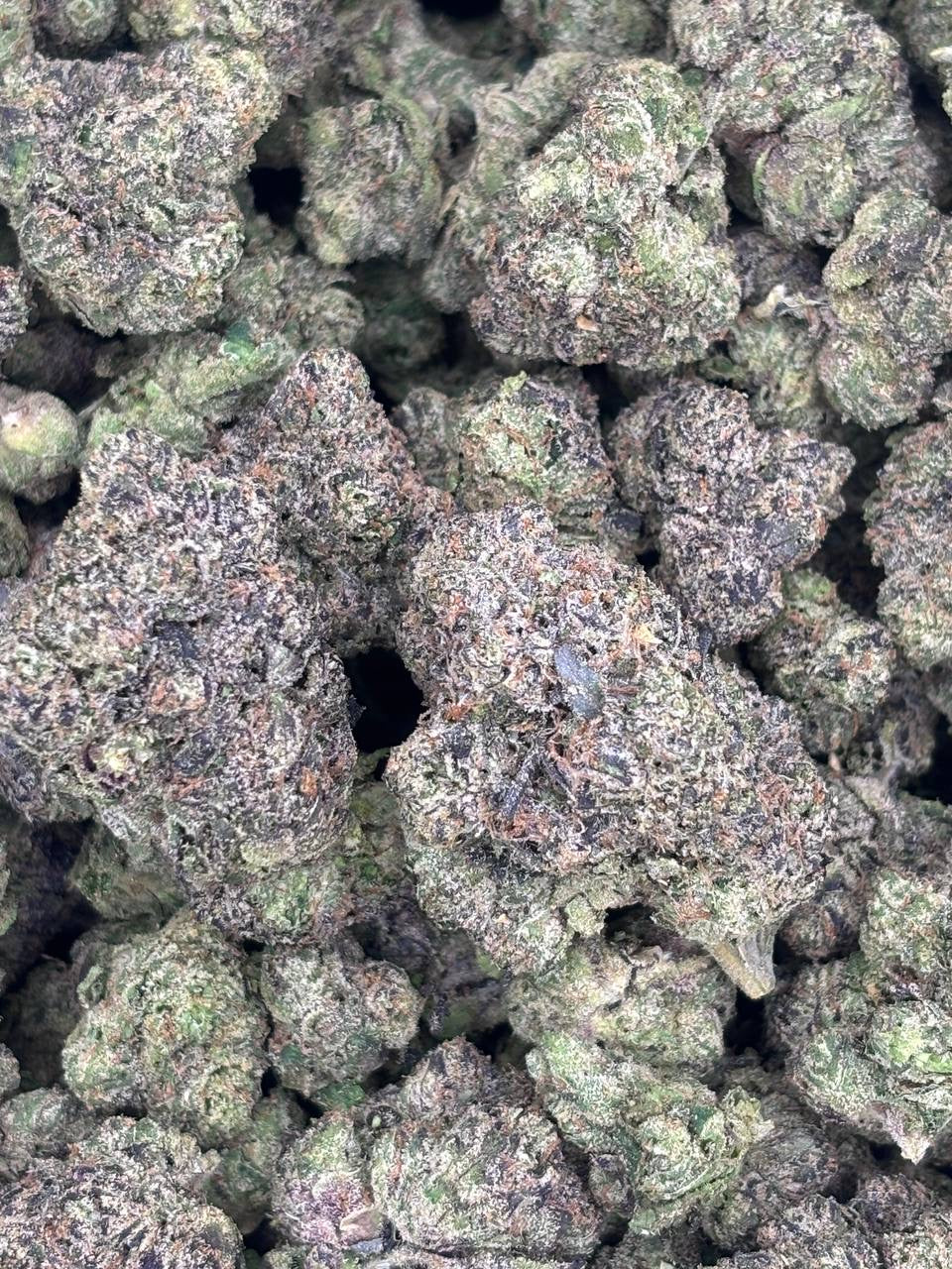 Premium Candy Indoor THCA Hemp - Gum Drops