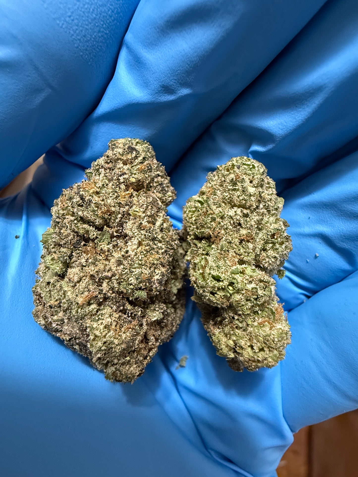 Premium Indoor THCA Hemp - Sherb Cream Pie