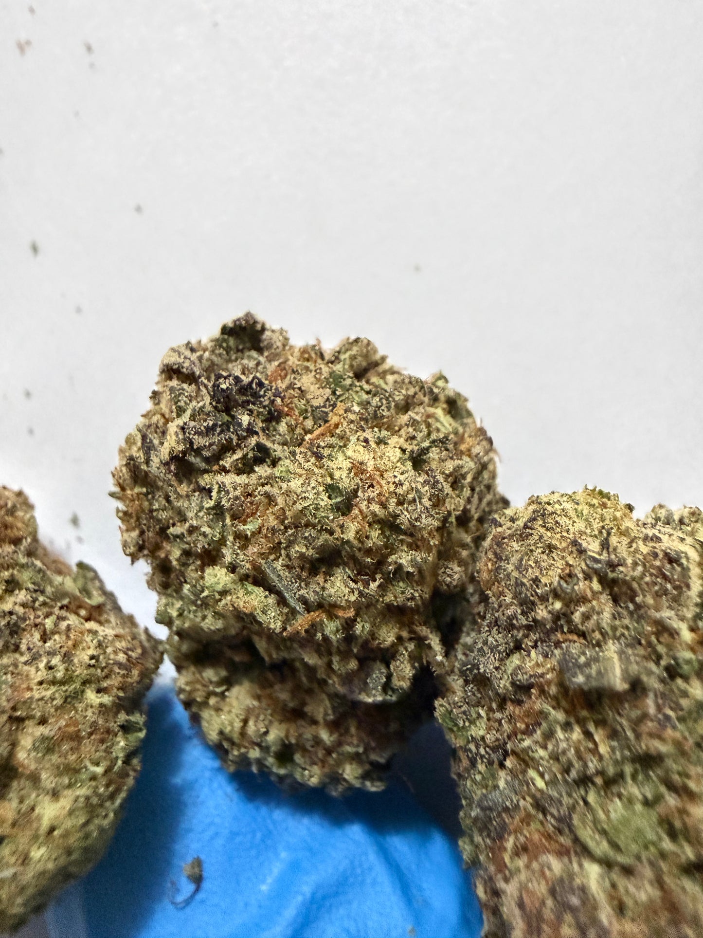 Daily Driver Hemp Flower - Cream Sickle