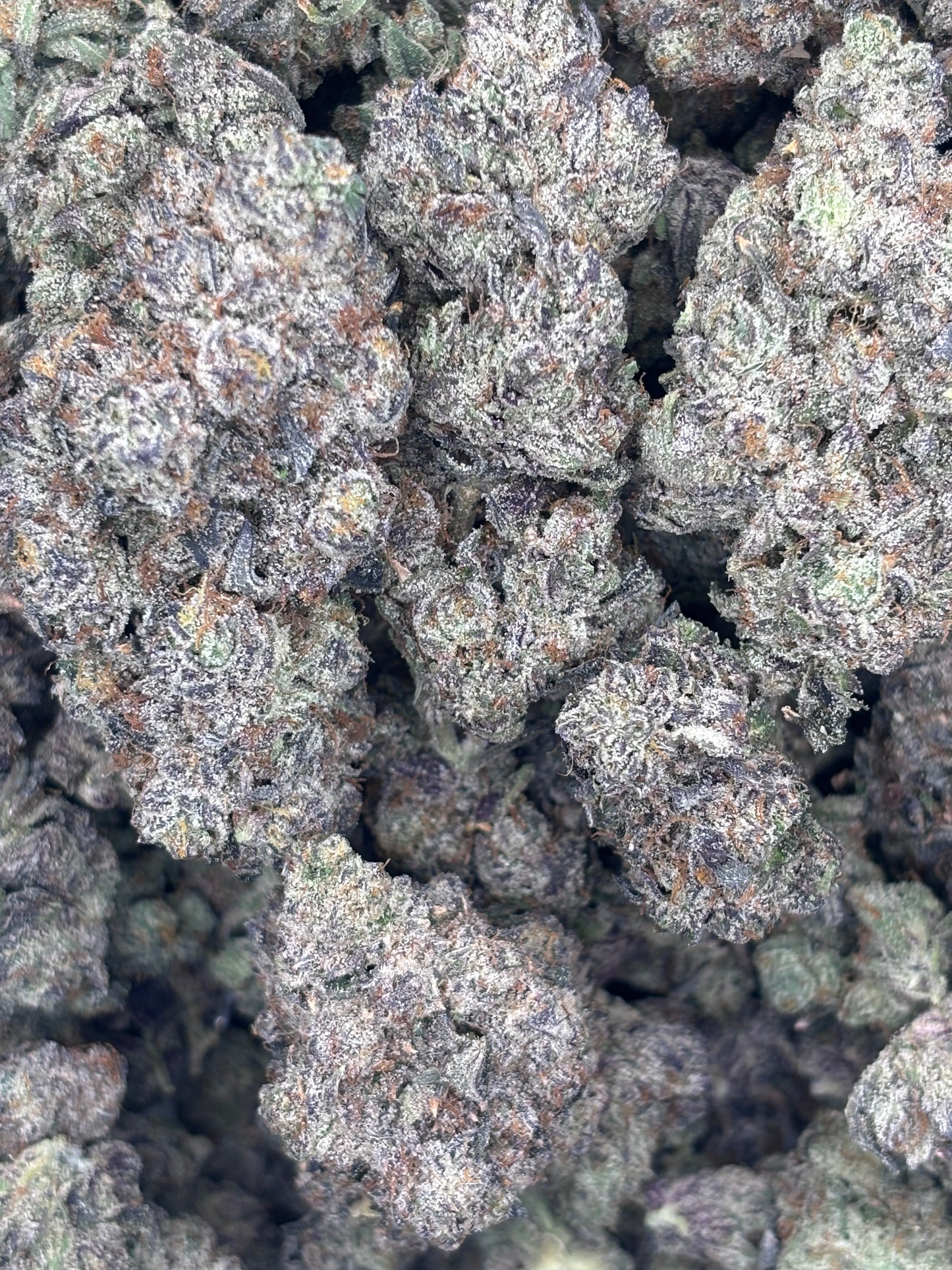 Premium Indoor THCA Hemp - Rocket Fuel
