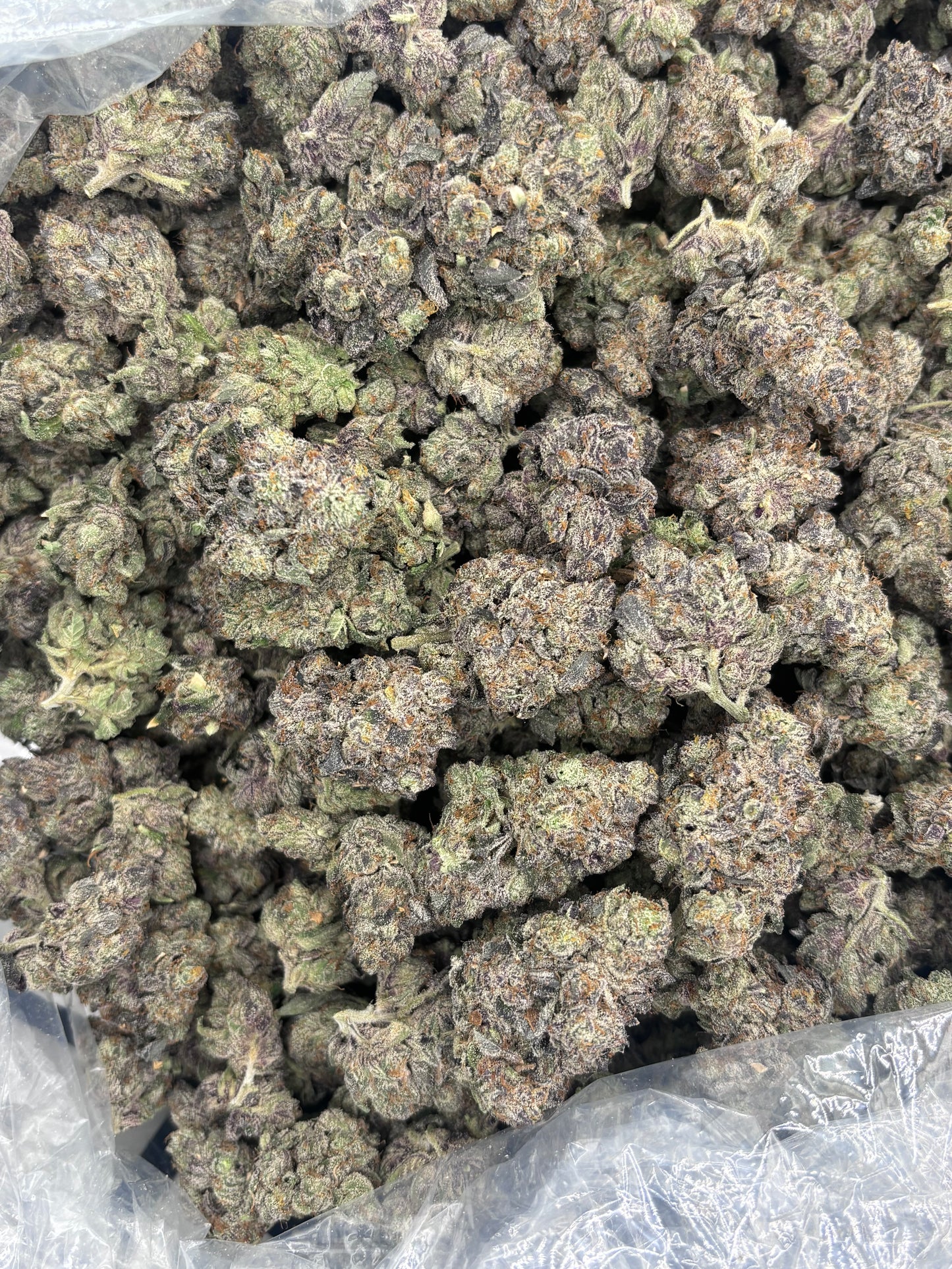 Premium Indoor THCA Hemp - High Society