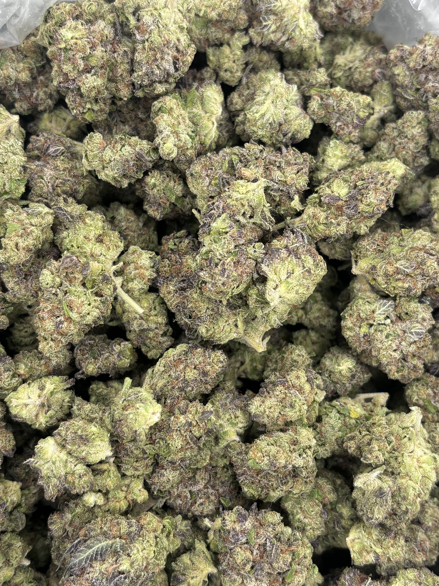Light Dep THCA Hemp - Garlic Breath