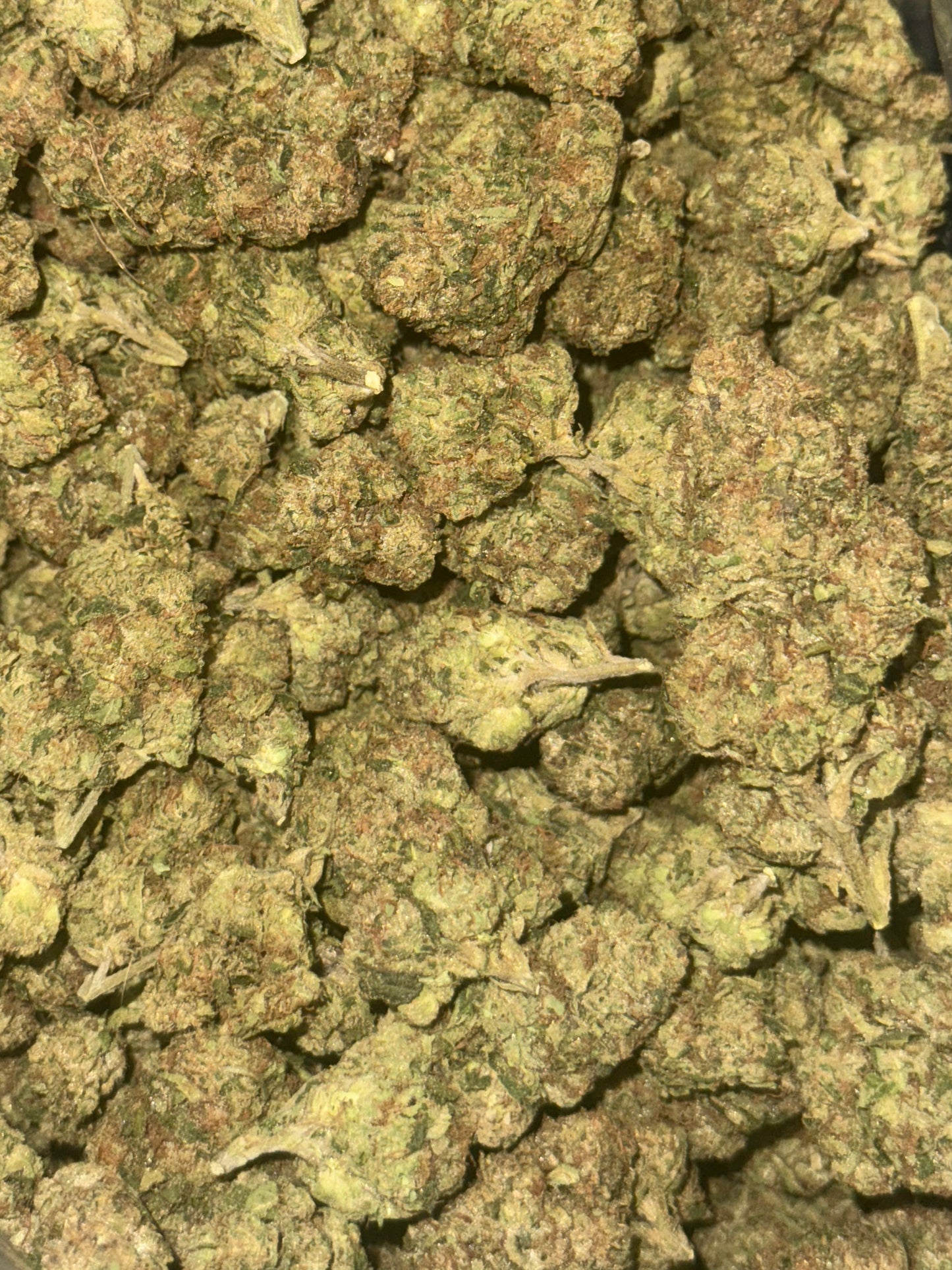 Daily Driver Hemp Flower - Bubblegum Gelato