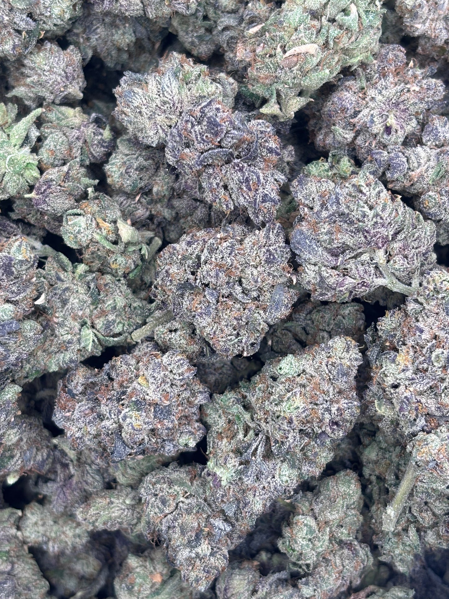 Premium Indoor THCA Hemp - High Society