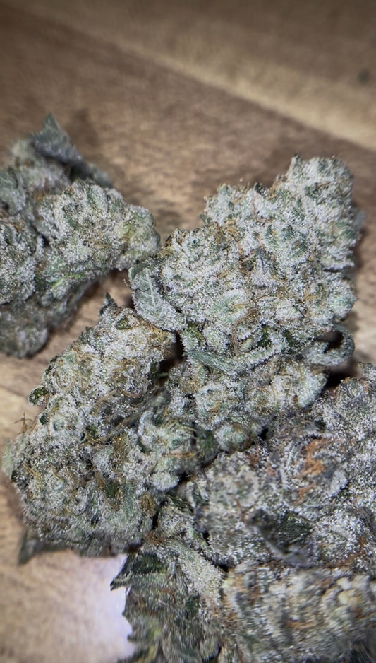THCA Craft Indoor - Animal Tsunami