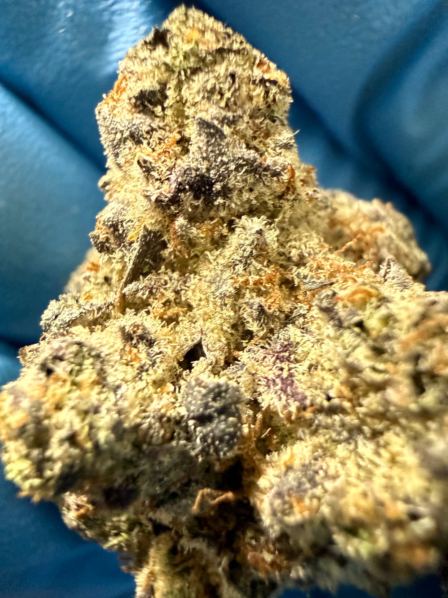 Premium Indoor Thca Hemp - Purple Peaches