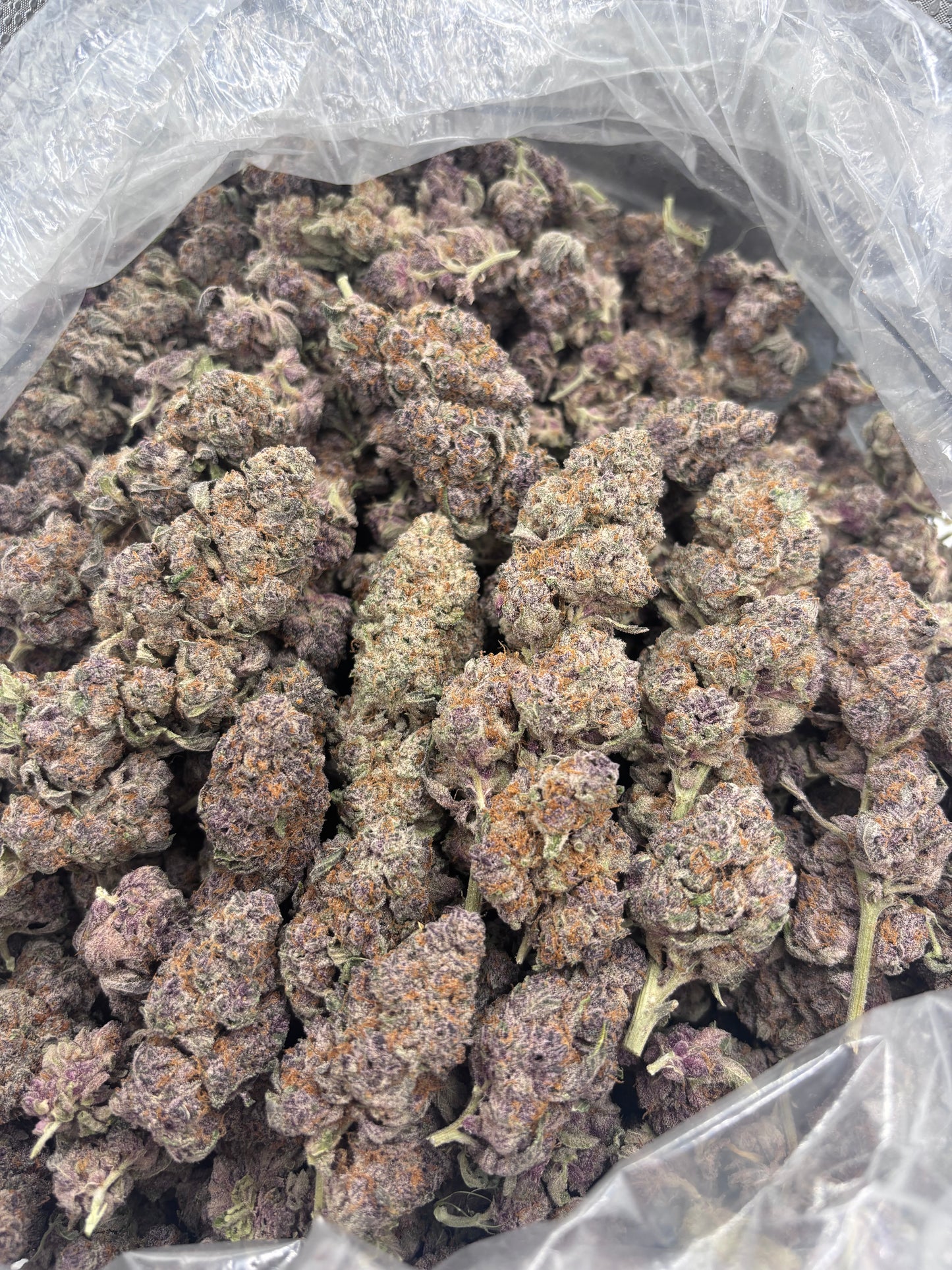Premium Indoor THCA Hemp - Superboof Cherry