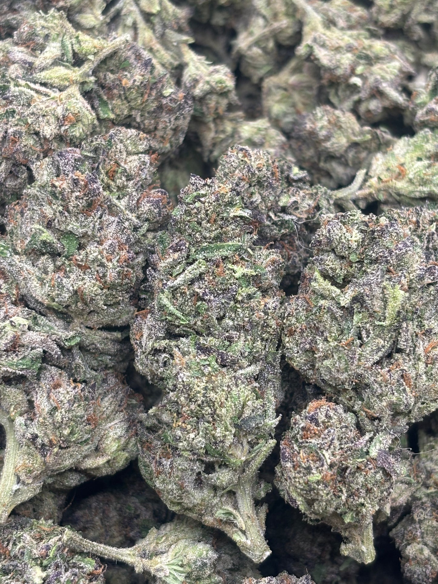 THCA Hemp Top Tier