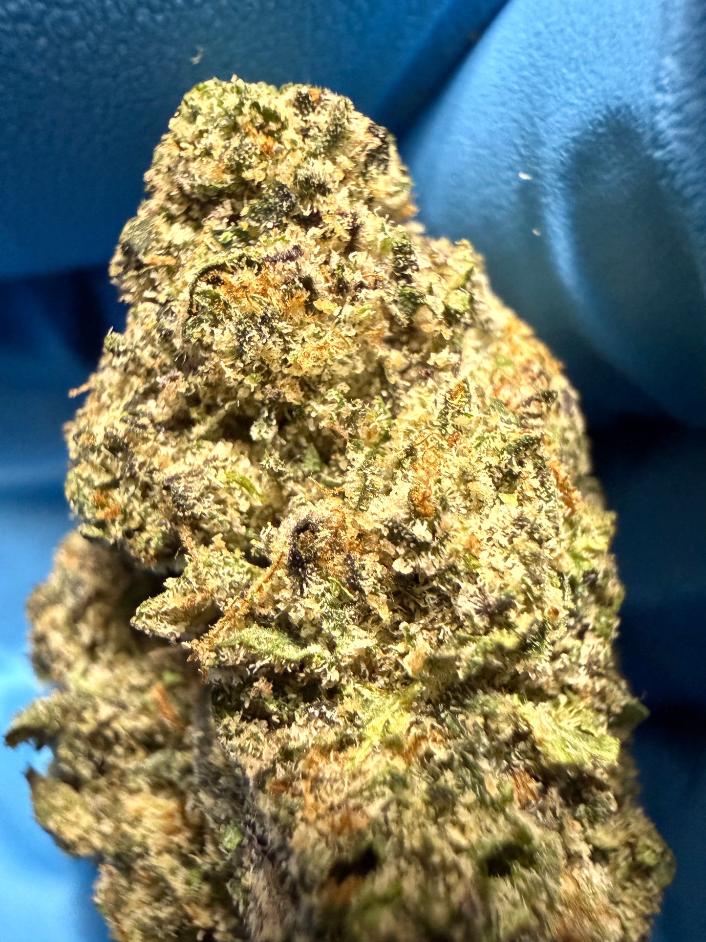 Premium Indoor THCA Hemp - Sherb Cream Pie