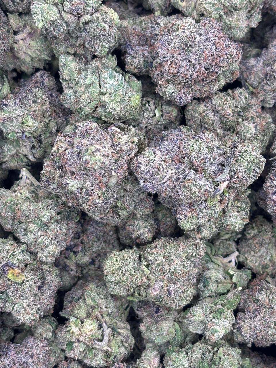 Premium Candy Indoor THCA Hemp - White Peaches