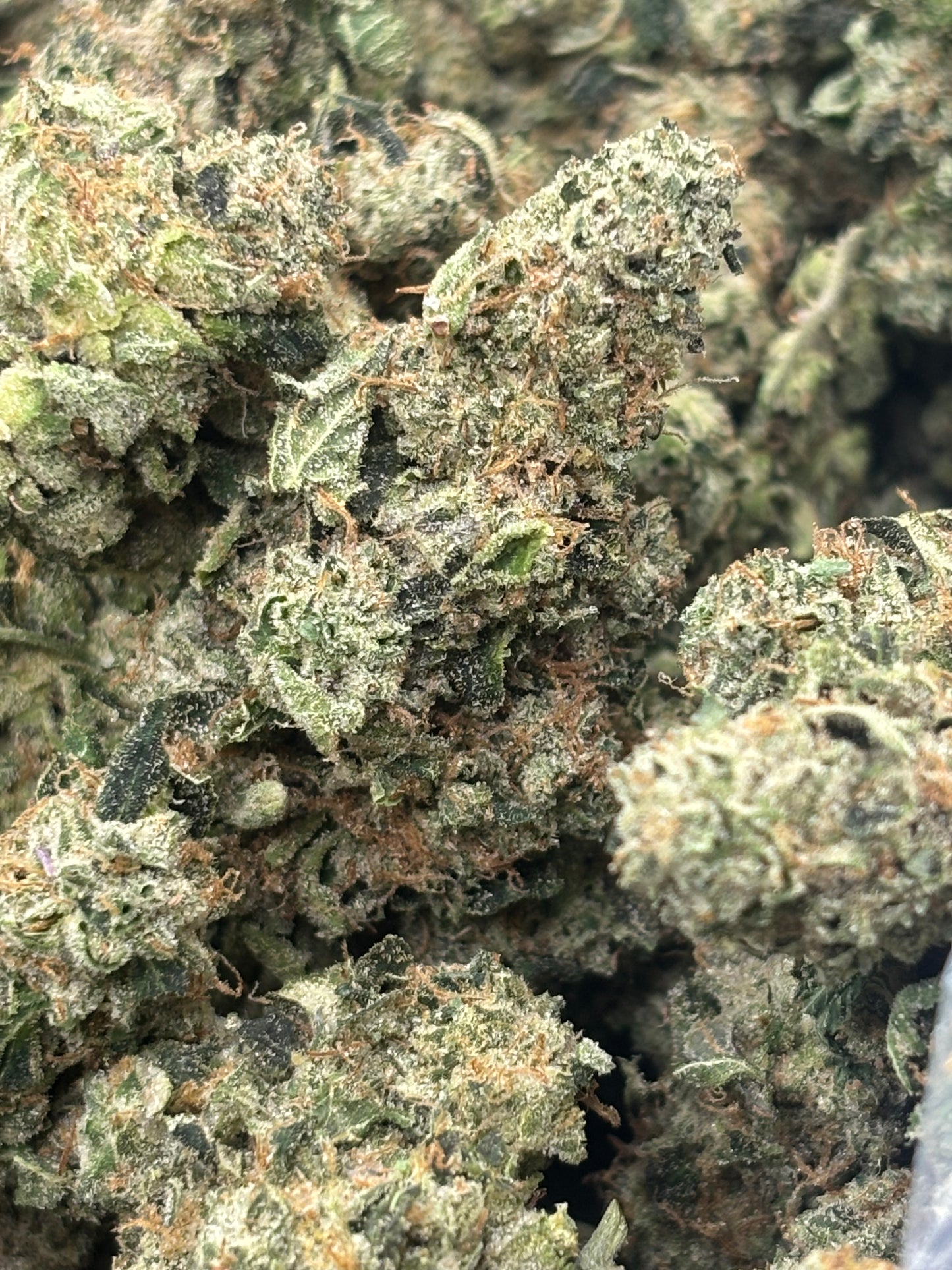 THCA Premium Indoor - GMO