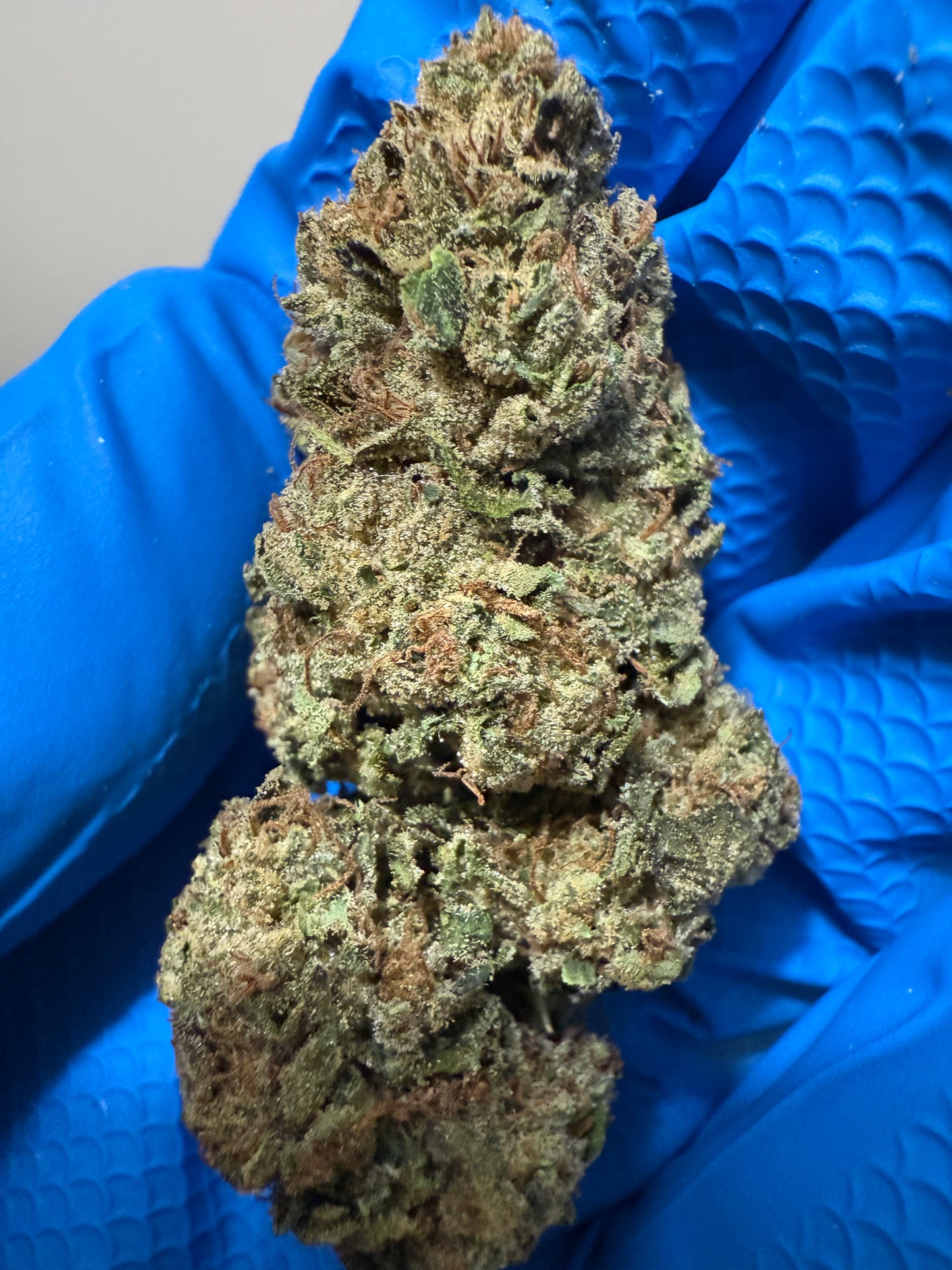 Daily Driver Hemp Flower - Bubblegum Gelato