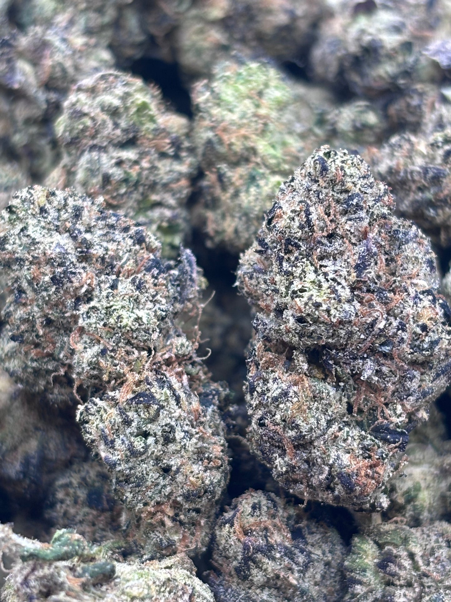Premium Indoor THCA Hemp - BlackBerry Runts